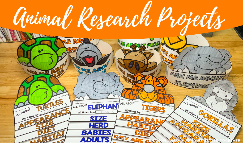 animal research projects for elementary students