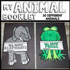 Animal Booklet Activity