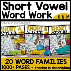 Short Vowel Word Family Work Center Activities