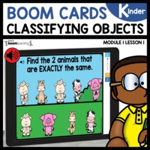 Classifying Objects Boom Cards