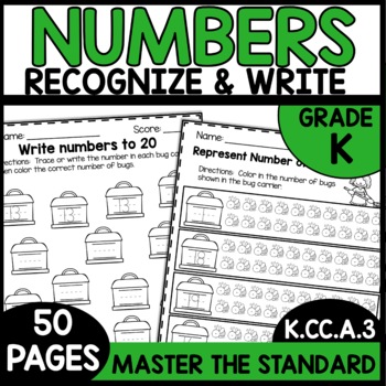 Numbers to 20 Worksheets