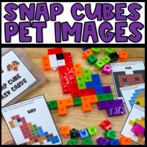 Pet Animal Snap Cube Task Cards