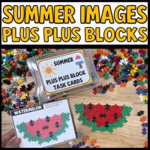 STEM Bins PLUS PLUS Blocks Task Cards, Summer Morning Work